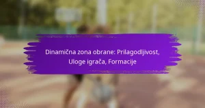 Dinamična zona obrane: Prilagodljivost, Uloge igrača, Formacije