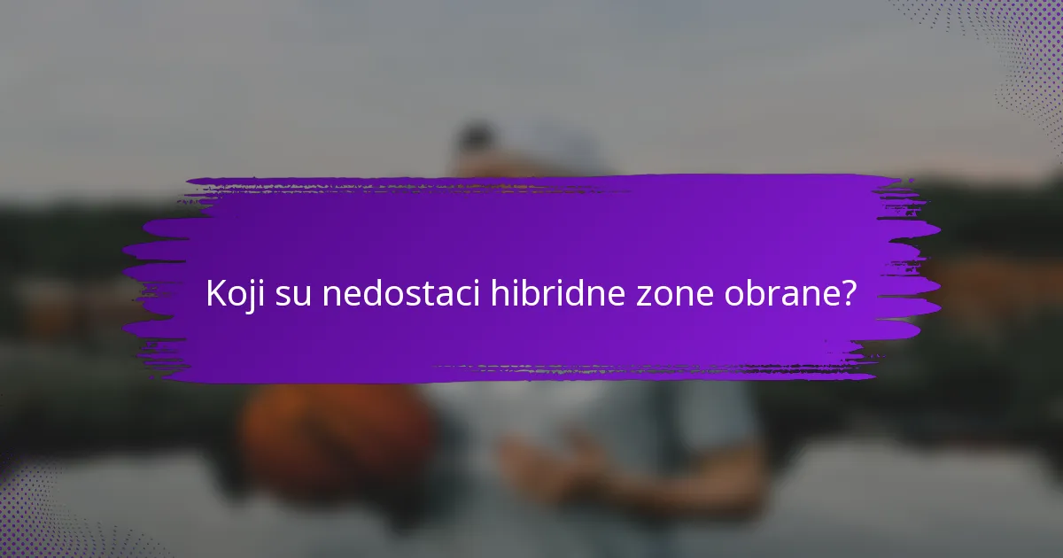 Koji su nedostaci hibridne zone obrane?